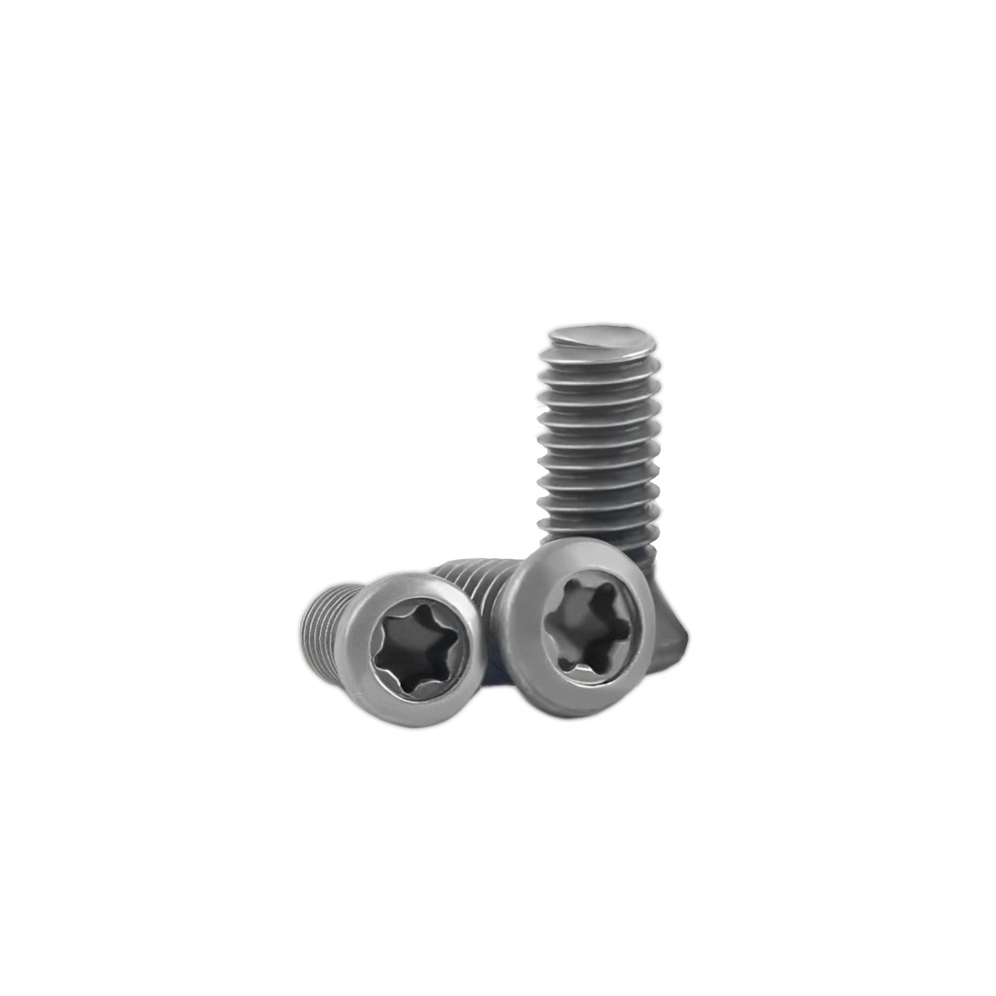 Torx Screw Spanner